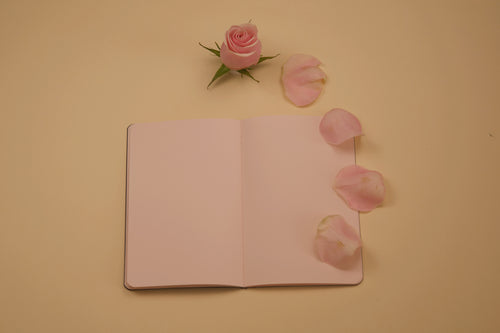 Librette Journal - Rose